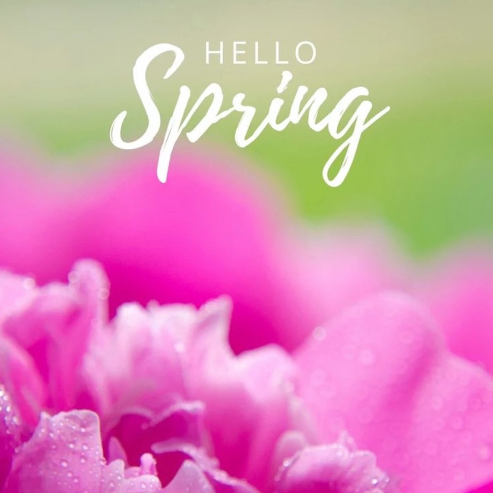 🌸🌸Hello Spring!🌸🌸 - Picture 3 of 6